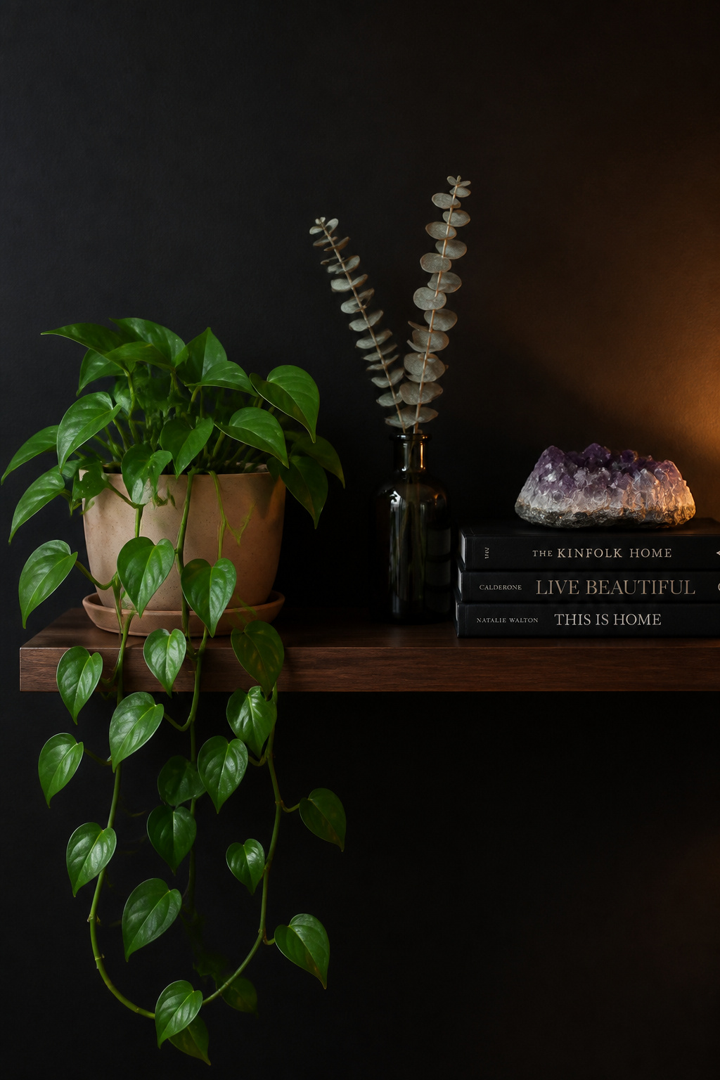 Trailing pothos in pale terracotta pot with dried eucalyptus and crystal cluster on dark shelf against charcoal wall in a moody living room