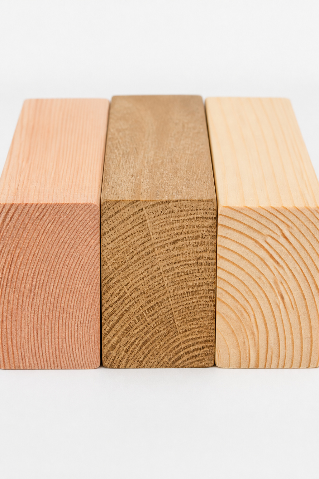 Three ceiling beam timber species side by side — Douglas fir with tight pink grain, white oak with ray fleck figure, and pine with wide pale rings