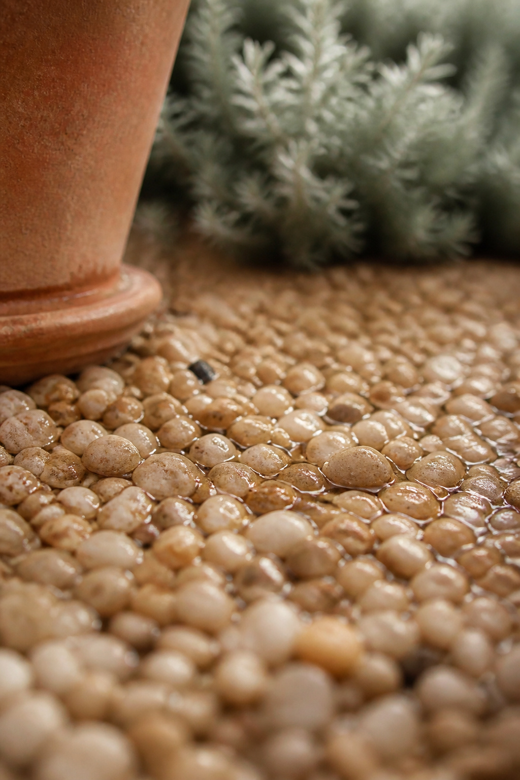 Close view of water beading in the gaps between buff pea gravel stones after rain