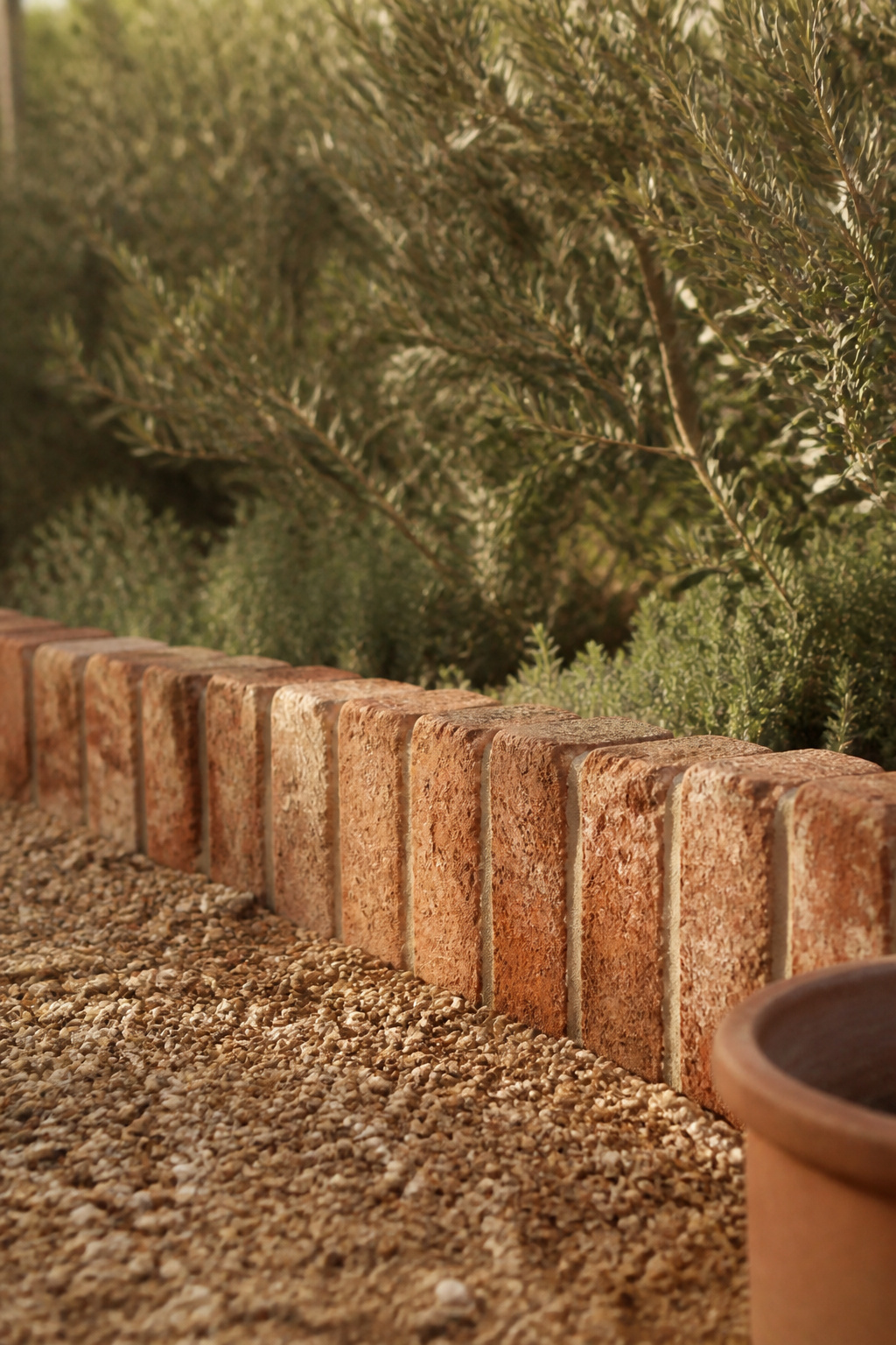 Aged brick soldier-course edging bordering a buff pea gravel patio with olive planting behind it