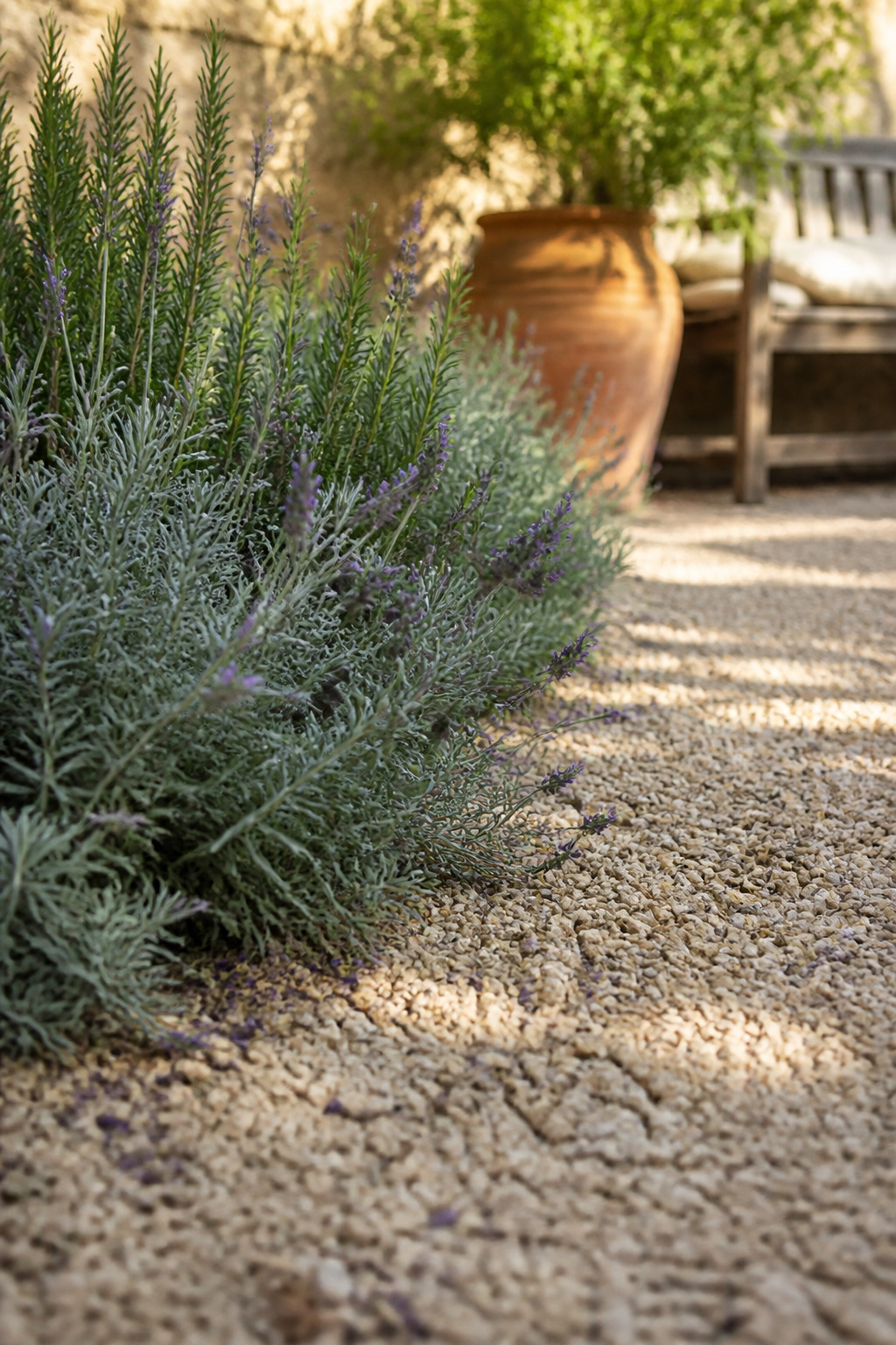 Lavender and rosemary spilling over the edge of buff pea gravel on a sunlit patio