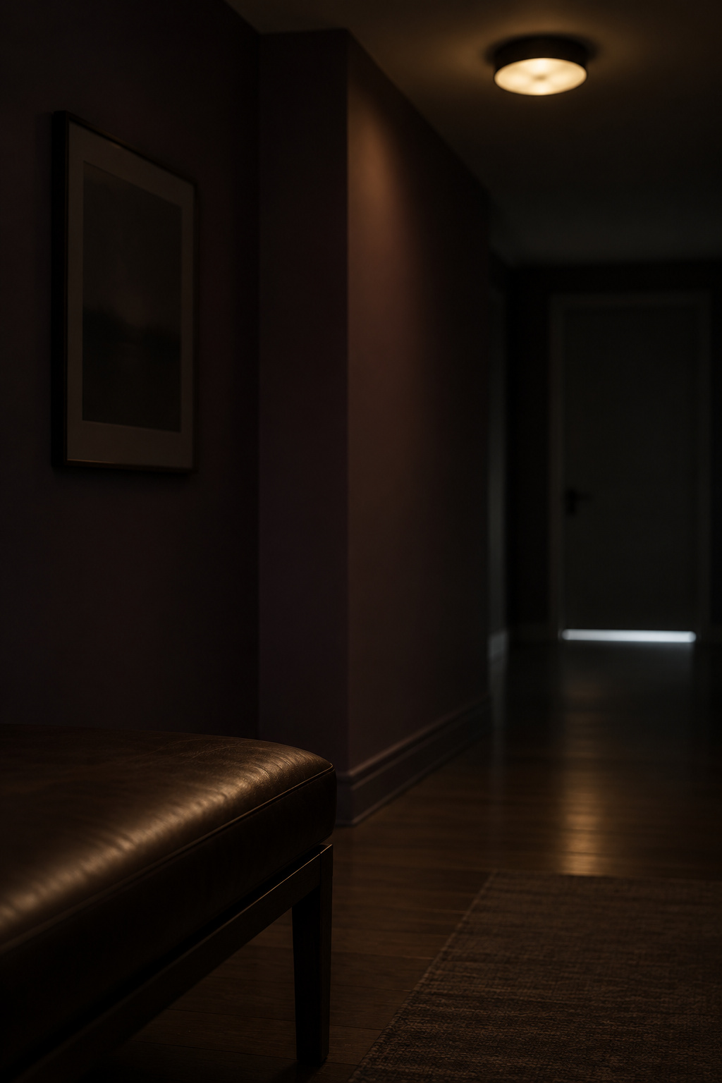 Dim entryway at night lit by only one ceiling fixture, a framed print barely visible on a dark aubergine wall